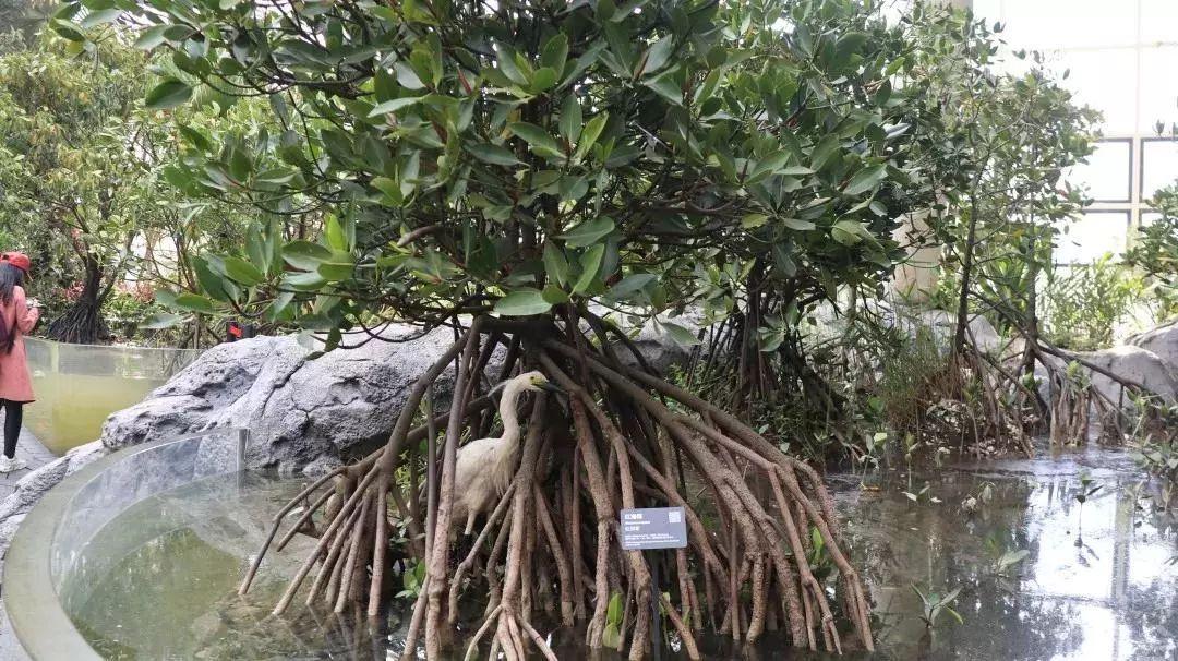 海事巡航已到达台湾浅滩,范围超往年,这片海,我们守得更远了 海事巡航已到达台湾浅滩,范围超往年,这片海,我们守得更远了