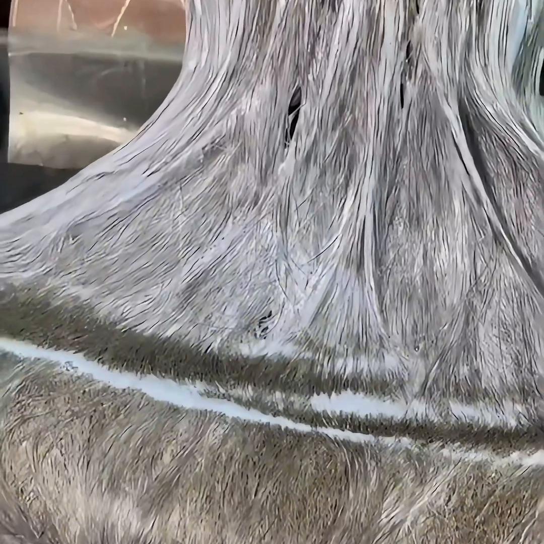 深层修护发膜去屑,头皮屑总反复?你可能一直在治标不治本 深层修护发膜去屑,头皮屑总反复?你可能一直在治标不治本