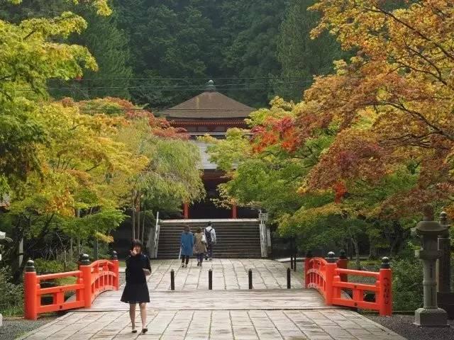 大阪樱花vs大宫松鼠，一场关西与关东的绿茵对话
